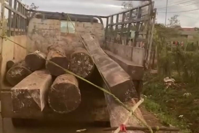 Phát hiện, lập biên bản vi phạm hành chính 01 trường hợp vận chuyển lâm sản trái phép